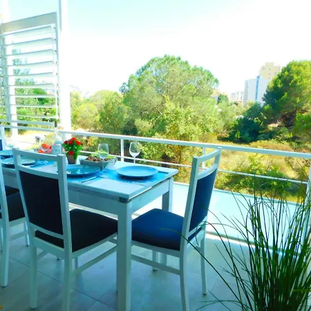 Gmid Immo Apartsol Apartment Roses