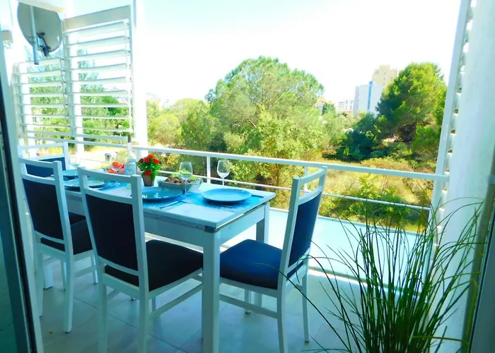 Gmid Immo Apartsol Apartment Roses