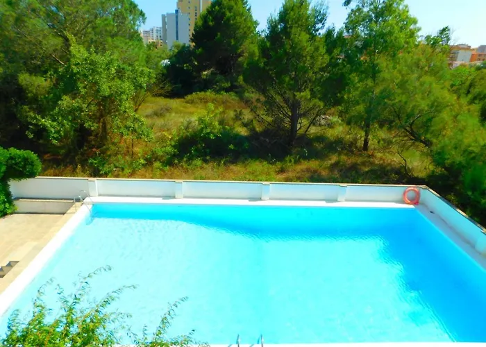 Apartment Gmid Immo Apartsol